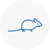 Mice Exterminators In Johnstone